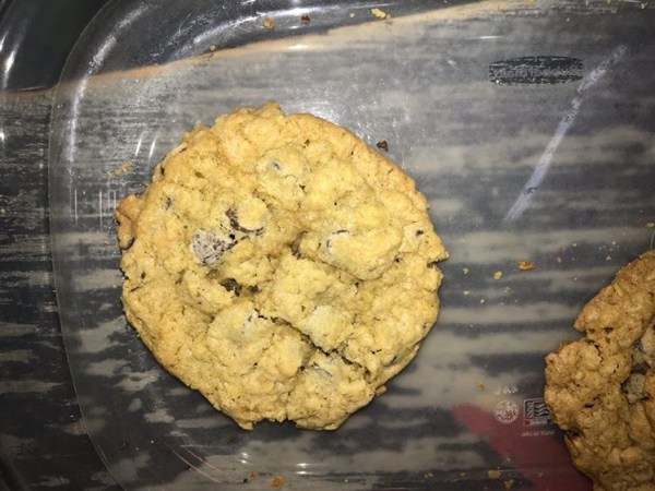 Cassidy’s Homemade Oatmeal Chocolate Chip&nbsp;Cookie